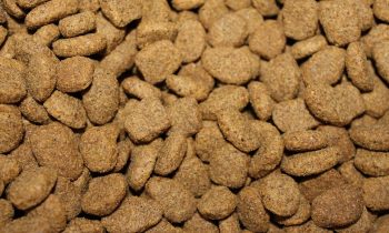 What The Future Holds For The Animal Feed Phosphates Market?